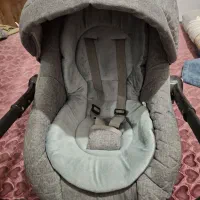 کریر نوزاد دلیجان