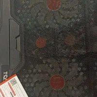 سالم سالم ودرحد نو