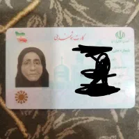 پیداشده