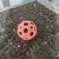 توپ پرشی|ورزشهای توپی|پاکدشت, پاکدشت (مامازند)|دیوار