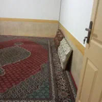 سویت روزانه