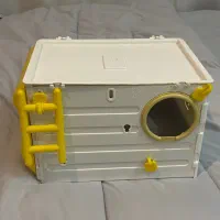 لونه پرنده