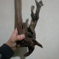 آکواریوم شیشه خم|ماهی|سراب, |دیوار