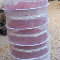 توری میوه و سبزی خشک کن|ظروف نگهدارنده، پلاستیکی، یکبارمصرف|شیراز, شهرک قمشه|دیوار