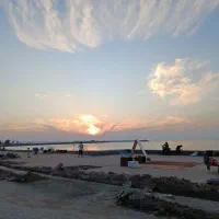 استخدام نیرو