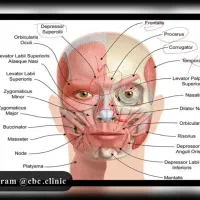 جشنواره تخفیف روز مادر و  جمعه سیاه،زیبایی با پزشک