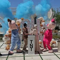 دکور تعیین جنسیت tnt تن پوش های تعیین جنسیت