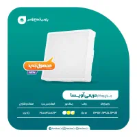 چراغ روکار ۵۰ وات مدل اویسا پارس شعاع توس