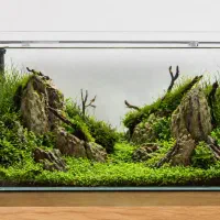 طراحی و دیزاین آکواریوم دلخواه خود