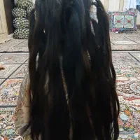 بزرگترین مرکز خرید فروش موهای طبیعی رنگ خام