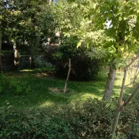 کارگر وارد ونیمه وارد