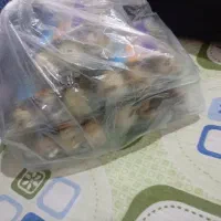 تخم مرغ بلدرچین