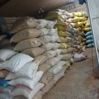 با سلام خرید فروش کلیه محصولات کشاورزی بادام|خوردنی و آشامیدنی|مرودشت, مجد آباد|دیوار