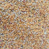 گرده گل|خوردنی و آشامیدنی|تبریز, |دیوار