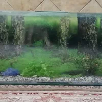 آکواریوم بزرگ