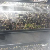 بخاری گازی درحد نو