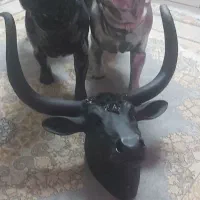 فروش یک جفت مجسمه سگ و کله گاو دکوری