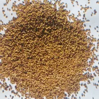 فروش بذر یونجه