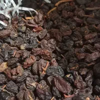 کشمش مویز بیدانه ترکمن ابگیری