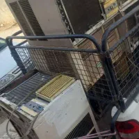 مجلات و نشریات ر( کولراتون میبریم نشریات کولر)