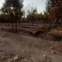 فروش باغ ۲۴۰۰ متر دیوارکشی شده در قهجاورستان