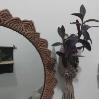 بافت نظم دهنده