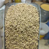 پلت دان مرغ و بوقلون گوشتی کیلوی 23.5هزار|لوازم جانبی حیوانات|امامزاده عبدالله, |دیوار