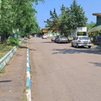 استخدام نیروی آقا و خانم