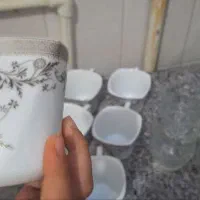 استکان و فنجان