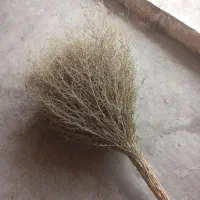 جارو دستی