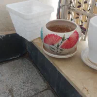 گلدون های سرامیکی