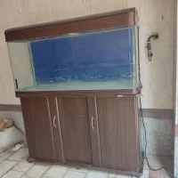 آکواریوم شیشه خم