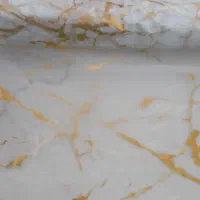 فیلم یا ورق هیدروگرافی