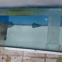 اکواریوم‌خم یک متری