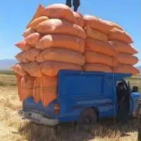 کارگر کاه زدن
