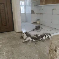 تخریب کار جزئی