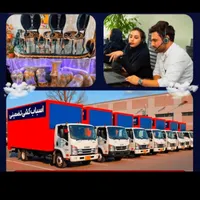 اسباب کشی شریف صیاد کوثر هفت تیر الهیه احمد آباد|خدمات حمل و نقل|مشهد, وکیل‌آباد|دیوار