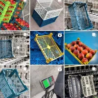 کارگر خانم یل آقا. برای سبد سازی