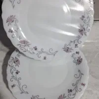 پیش دستی ارکوپال