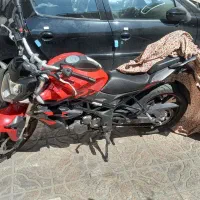 بنلی250tntخشک