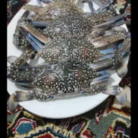 تور خباتی ۱۳ دهی