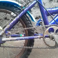 دوچرخه سایز 16|دوچرخه، اسکیت، اسکوتر|بندر گز, |دیوار