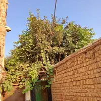 اجاره خانه ویلایی ۶۰ متری|اجارهٔ خانه و ویلا|کرج, ملک‌آباد|دیوار