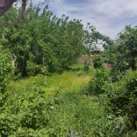 فروش خانه باغ،ملک،زمین،ویلا،خاکعلی