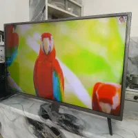 تلویزیون ۴۳ اینچ دوو فوق باریک فورکی4kدرحدنو|تلویزیون و پروژکتور|مشهد, شهید معقول|دیوار