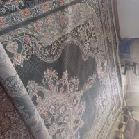 فرش ۲۰متری|فرش|کرمانشاه, |دیوار