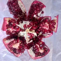 فروش محصول باغ انار