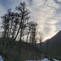 به یک شاگرد اقا نیازمندیم