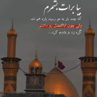 کربلا 8روزه 88000