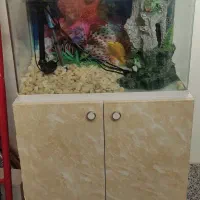 آکواریوم نو